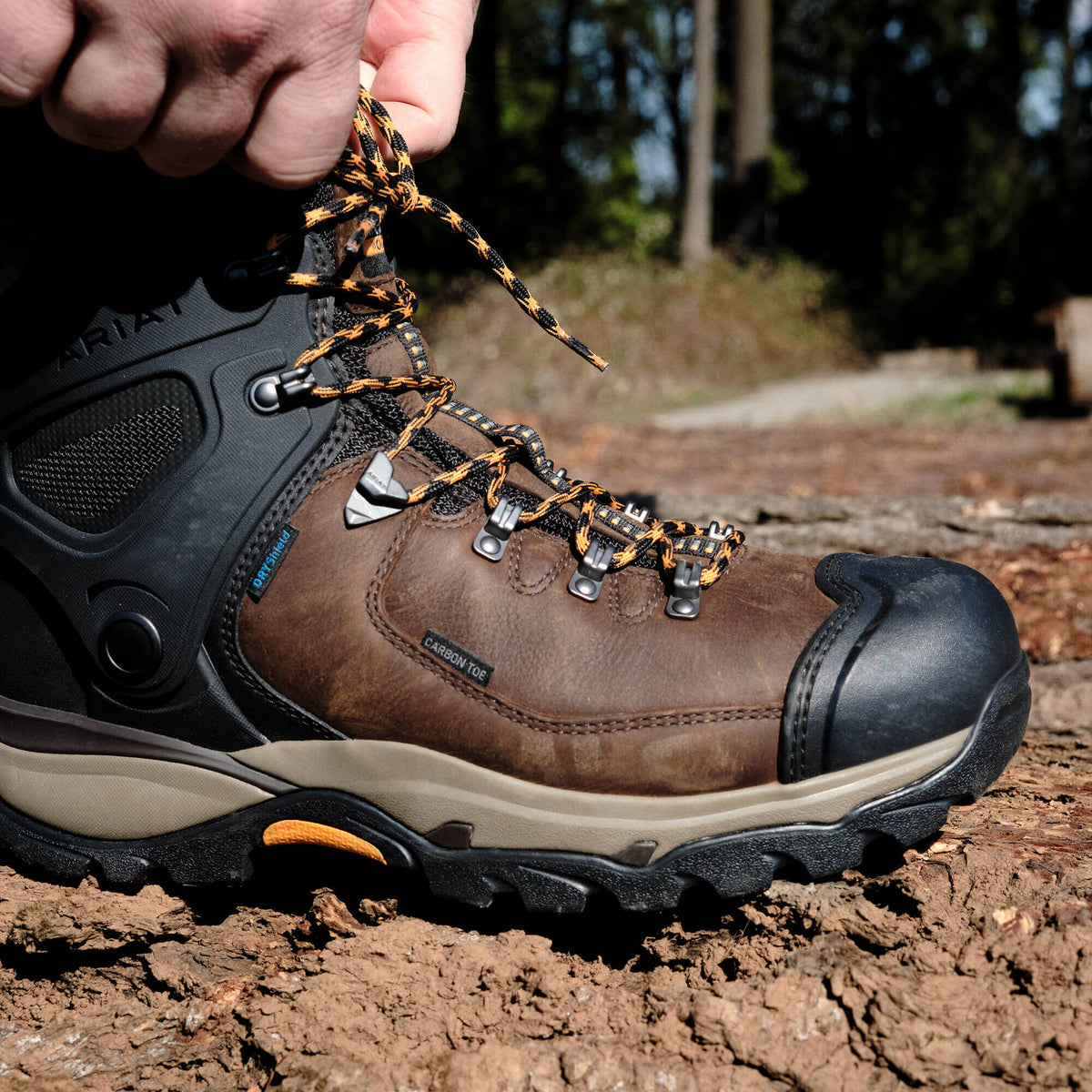 Ariat Endeavor 6" Waterproof Carbon Toe Work Boot in Rich Brown, additional view